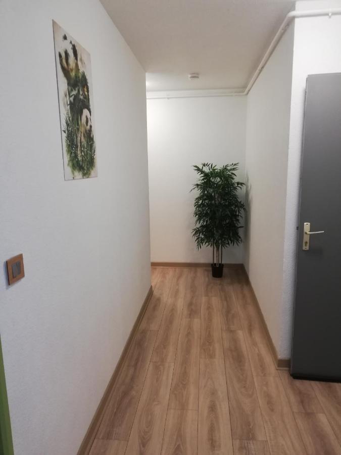Grand T3 Avec Clim, Parking Et Terrasse Privative - Agen Apartment Luaran gambar